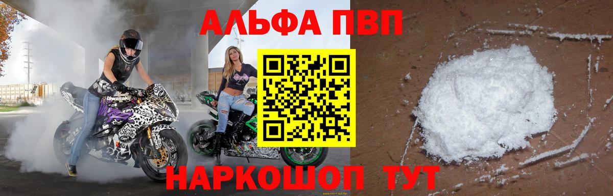 Альфа ПВП СК КРИС Холмск