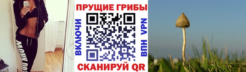 Галлюциногенные грибы Magic Shrooms  что такое наркотик  Холмск 