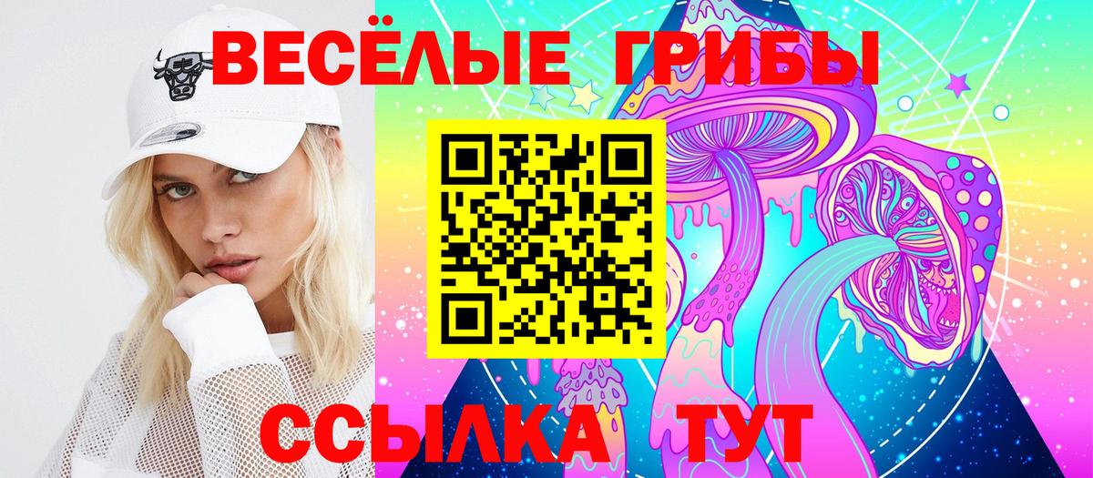 Галлюциногенные грибы Psilocybe  Вход с VPN  Холмск  Галлюциногенные грибы Magic Shrooms 